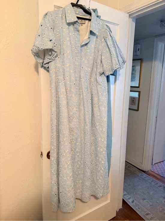 Tuckernuck Dresses & Skirts - Tuckernuck Light Blue Eyelet Collared Maxi Dress